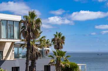 Luxury villa in the tropics near the sea