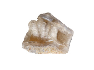 Chalcedony is a cryptocrystalline form of silica, composed of very fine intergrowths of quartz and...