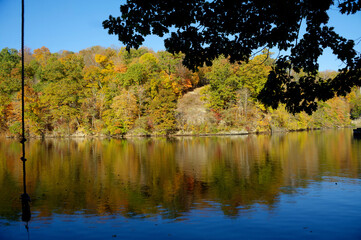 rope swing; reflection; autumn; lake; trees; foliage; nature; calm; water; landscape