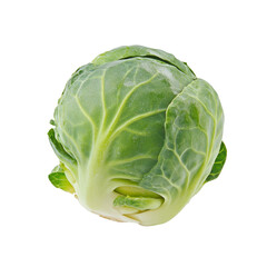Fototapeta premium Fresh Brussels sprout on a transparent background showcasing natural textures and vibrant color details, Brussels sprout vegetable food ingridient transparent background