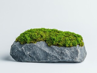 Mossy Rock with Vibrant Green Texture