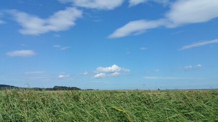 Obraz premium Perfect Day on Hiddensee