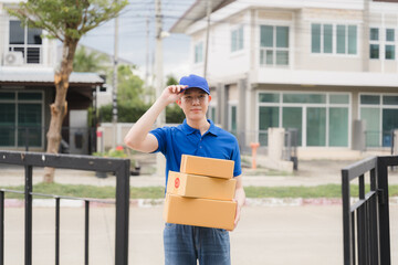 Delivery Man Ready for Delivery: A friendly delivery person in a blue uniform and cap stands...