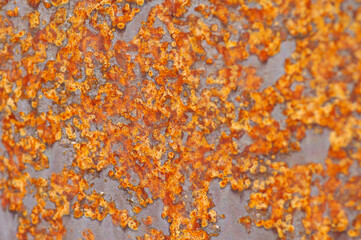 Rusty metal close up, sheet metal.