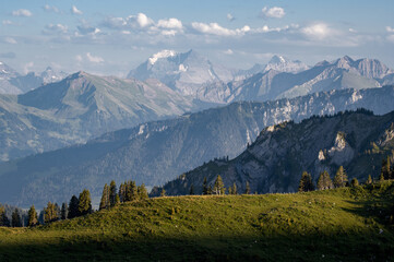 Fototapeta premium Alpine landscape in Switzerland, Alps mountains, green meadows
