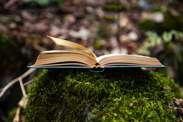 books. An open page of a book and an autumn