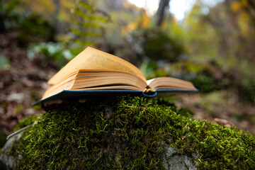 books. An open page of a book and an autumn