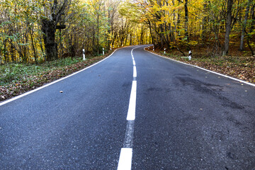 Fototapeta premium Highway road through the forest at dawn