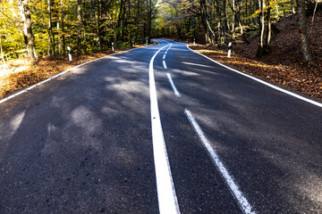 Highway road through the forest at dawn