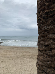 A serene view of a cloudy coastline with gentle waves lapping at an empty sandy beach. A rough palm tree trunk is visible on the right, framing the tranquil ocean scene. 