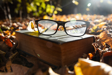 books. An open page of a book and an autumn