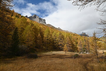 Vall&eacute;e de la Clar&eacute;e, N&eacute;vache (05)