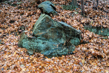 stone in the leaves