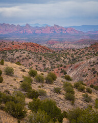 Aerial Views of Cedar Trees in a Valley in Northern Arizona, America, USA.