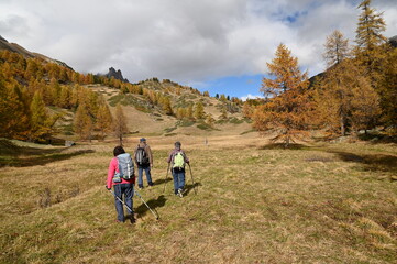 Vall&eacute;e de la Clar&eacute;e, N&eacute;vache (05)