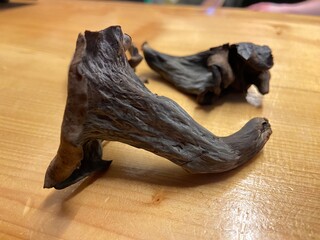 Black trumpet mushrooms background