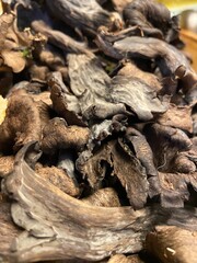 Black trumpet mushrooms background