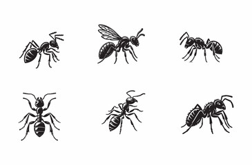 Ant Vector line art silhouette