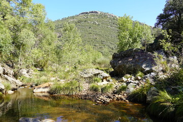 Spanish Nature