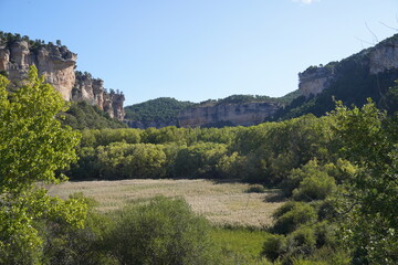 Spanish Nature