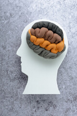 Silhouette of the head with earthy tones on a gray background, top view. Mental disorders, eco-anxiety.