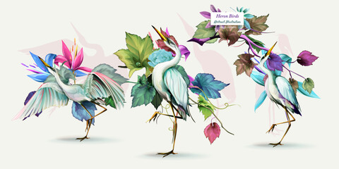 Heron birds on with flowers. Set of three elements. Hand drawn, watercolor, isolated on white. Vector - stock.