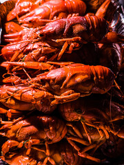 Photo of background with red boiled crawfishes. High quality photo