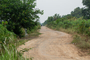 off road view or damaged road with red soil dust surrounded by wild trees or wild grass on a village road