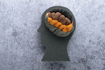 Mental health disorders, eco-anxiety, depression. Black silhouette of the head with brain model in earthy tones on a gray background, top view