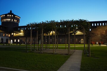Trellis at Night