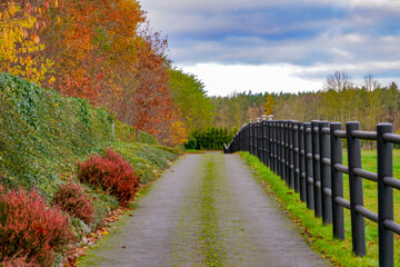 droga dojazdowa jesienną porą  © Tadeusz