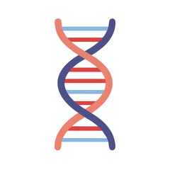 A colorful vector icon of a DNA helix showcasing the structure of genetic material, representing biological research and genetics in a modern scientific context