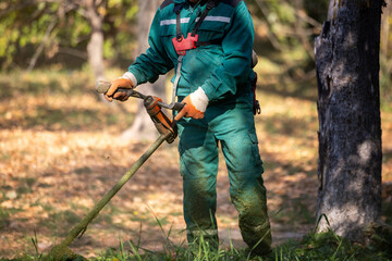 A worker tending to grass with a trimmer in a sunlit forest area during a sunny afternoon