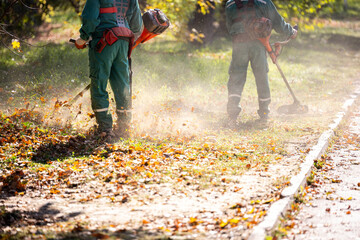Two workers are using string trimmers to cut the grass in the park. Autumn scene. © zphoto83