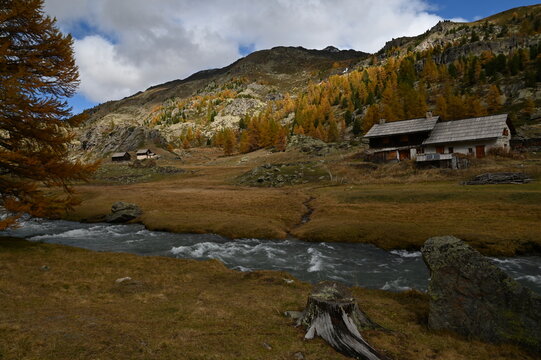 Vall&eacute;e de la Clar&eacute;e, N&eacute;vache (05)