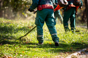 Workers trimming grass in a park area during a sunny afternoon using garden tools and equipment