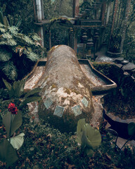 cave house in the forest