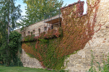 View of the old defensive wall covered with vegetation