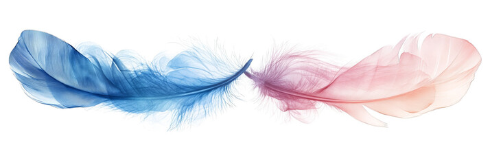 Obraz premium delicate blue and pink feathers intertwining elegant design transparent background