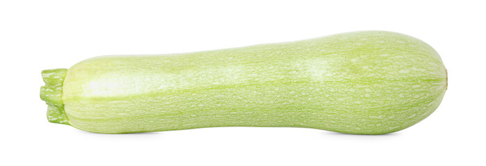 One fresh ripe zucchini isolated on white