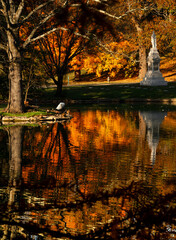 Beautiful Fall setting with vibrant reflections on the surface of the duck pond located at Spring Grove Cemetery in Cincinnati, OH.