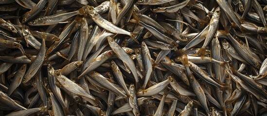 Whitebait On The Market Counter Anchovies Background