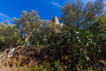 A rugged hillside with dense cactus plants and trees frames the stone walls of an ancient castle