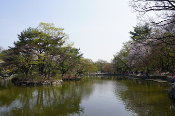Lake in the Park - Changdeokgung 