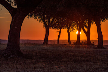 a new day is born