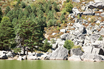 Black lagoon in Castile and Leon region, Spain. Laguna Negra