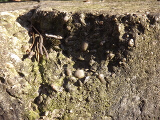 Crumbling concrete wall edge