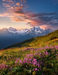 Fototapeta premium Picturesque Alpine landscape at sunrise. The sky glows in warm pastel colors as the snow-covered peaks shine in the soft morning light. In the foreground, colorful wildflowers bloom on a green meadow.