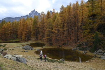 Obraz premium Vallée de la Clarée, Névache (05)