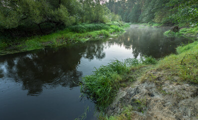A river with a lot of grass and trees on the banks